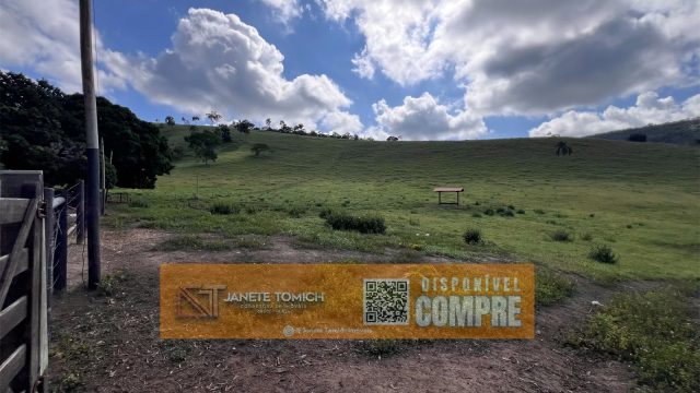 FAZENDA LUXO -164 HECTARES – 30 KM DE TEÓFILO OTONI R$ 4.080.000,00