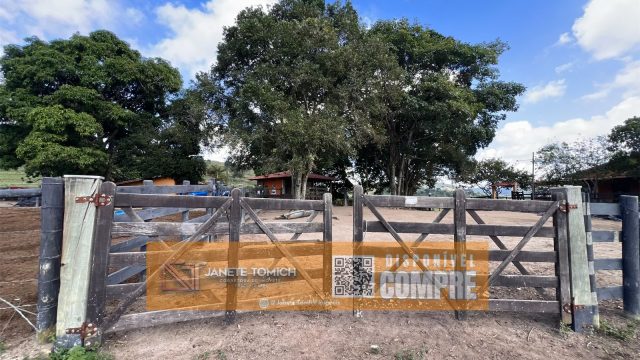 FAZENDA LUXO -164 HECTARES – 30 KM DE TEÓFILO OTONI R$ 4.080.000,00