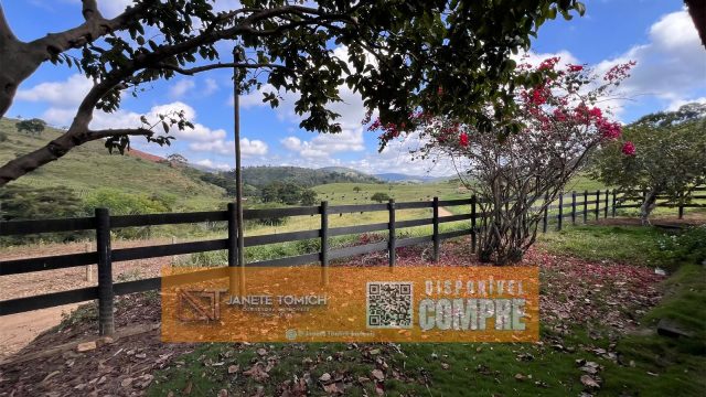FAZENDA LUXO -164 HECTARES – 30 KM DE TEÓFILO OTONI R$ 4.080.000,00