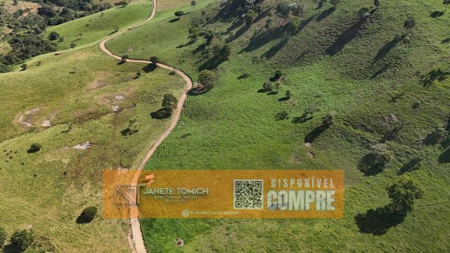 FAZENDA LUXO -164 HECTARES – 30 KM DE TEÓFILO OTONI R$ 4.080.000,00