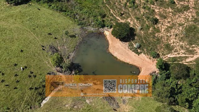 FAZENDA LUXO -164 HECTARES – 30 KM DE TEÓFILO OTONI R$ 4.080.000,00