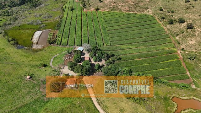 FAZENDA LUXO -164 HECTARES – 30 KM DE TEÓFILO OTONI R$ 4.080.000,00