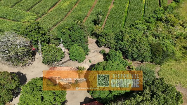 FAZENDA LUXO -164 HECTARES – 30 KM DE TEÓFILO OTONI R$ 4.080.000,00