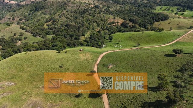 FAZENDA LUXO -164 HECTARES – 30 KM DE TEÓFILO OTONI R$ 4.080.000,00