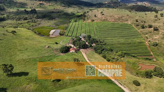 FAZENDA LUXO -164 HECTARES – 30 KM DE TEÓFILO OTONI R$ 4.080.000,00