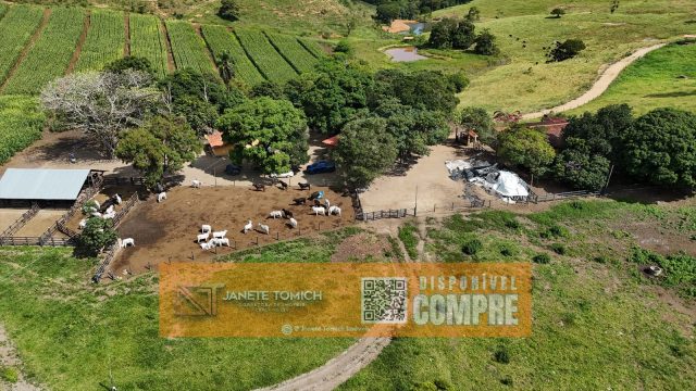 FAZENDA LUXO -164 HECTARES – 30 KM DE TEÓFILO OTONI R$ 4.080.000,00