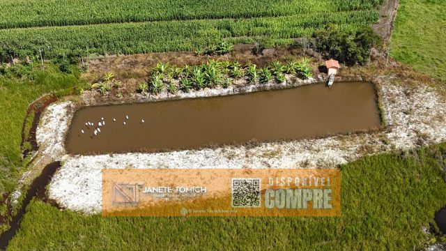 FAZENDA LUXO -164 HECTARES – 30 KM DE TEÓFILO OTONI R$ 4.080.000,00