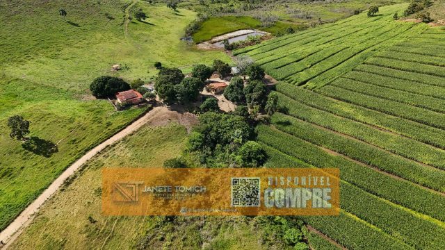 FAZENDA LUXO -164 HECTARES – 30 KM DE TEÓFILO OTONI R$ 4.080.000,00
