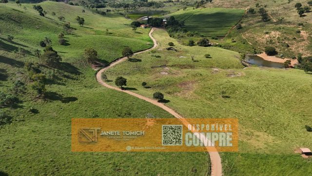 FAZENDA LUXO -164 HECTARES – 30 KM DE TEÓFILO OTONI R$ 4.080.000,00