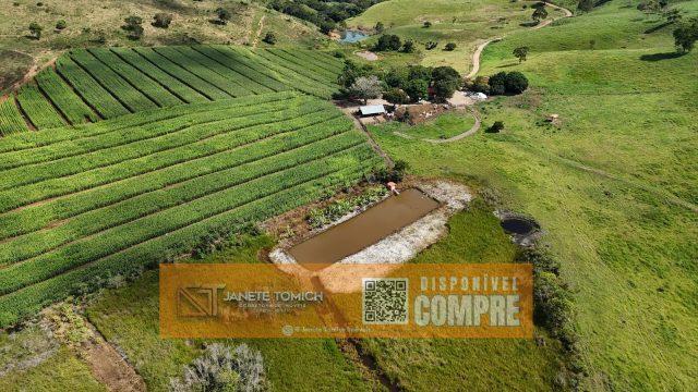 FAZENDA LUXO -164 HECTARES – 30 KM DE TEÓFILO OTONI R$ 4.080.000,00