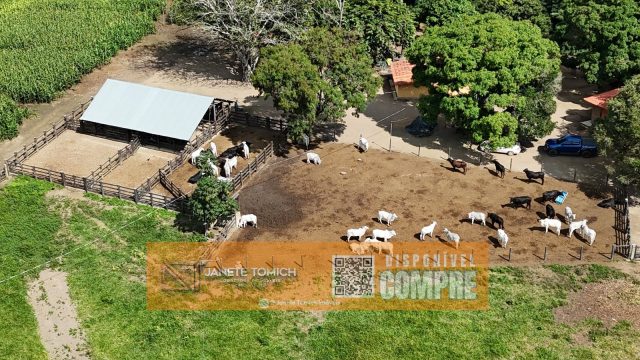 FAZENDA LUXO -164 HECTARES – 30 KM DE TEÓFILO OTONI R$ 4.080.000,00