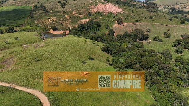 FAZENDA LUXO -164 HECTARES – 30 KM DE TEÓFILO OTONI R$ 4.080.000,00