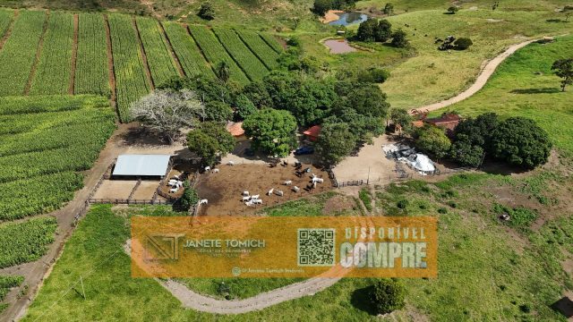 FAZENDA LUXO -164 HECTARES – 30 KM DE TEÓFILO OTONI R$ 4.080.000,00