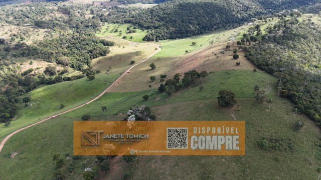 FAZENDA LUXO -164 HECTARES – 30 KM DE TEÓFILO OTONI R$ 4.080.000,00