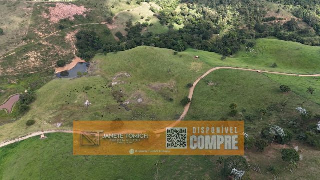 FAZENDA LUXO -164 HECTARES – 30 KM DE TEÓFILO OTONI R$ 4.080.000,00