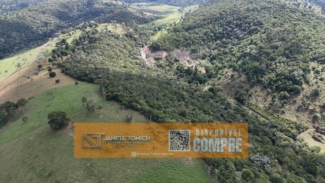 FAZENDA LUXO -164 HECTARES – 30 KM DE TEÓFILO OTONI R$ 4.080.000,00