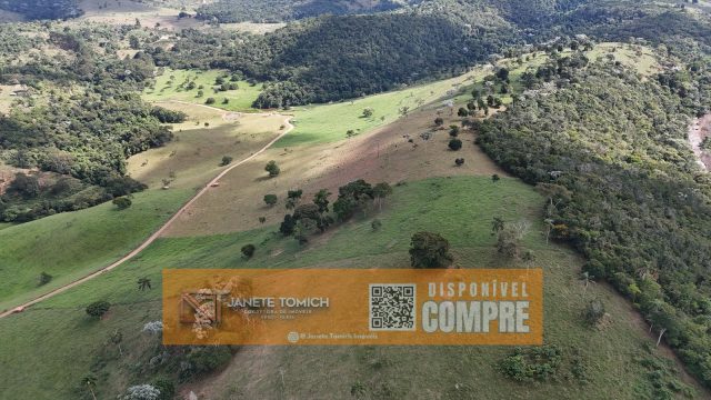 FAZENDA LUXO -164 HECTARES – 30 KM DE TEÓFILO OTONI R$ 4.080.000,00