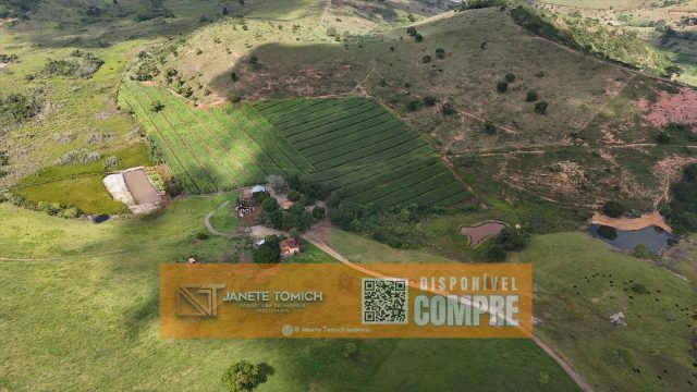 FAZENDA LUXO -164 HECTARES – 30 KM DE TEÓFILO OTONI R$ 4.080.000,00