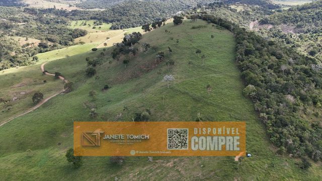 FAZENDA LUXO -164 HECTARES – 30 KM DE TEÓFILO OTONI R$ 4.080.000,00