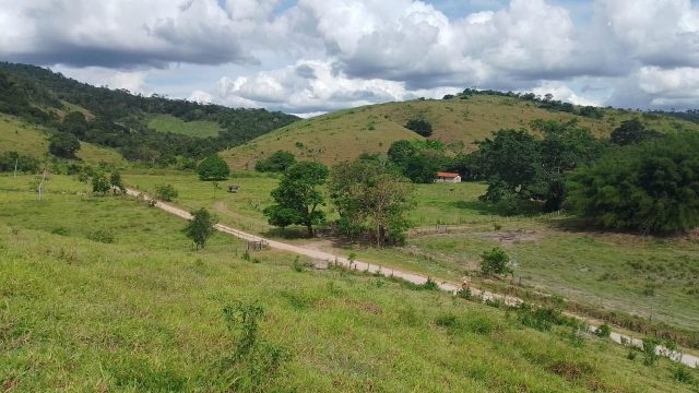 FAZENDA 145 HECTARES-25 KM DE TEÓFILO OTONI – R$ 3.000.000,00