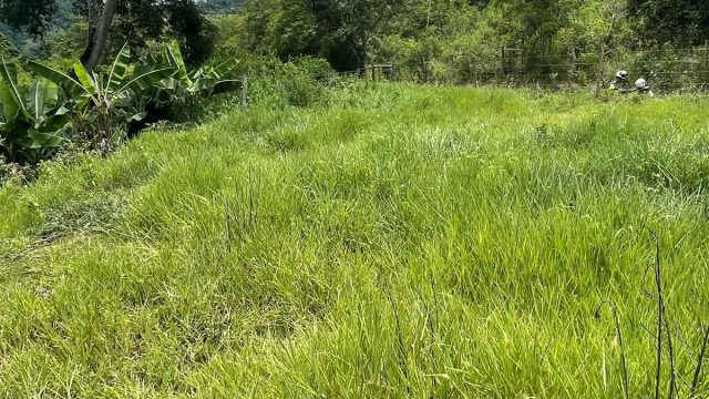FAZENDA 145 HECTARES-25 KM DE TEÓFILO OTONI – R$ 3.000.000,00