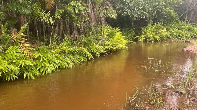 EXCELENTE FAZENDA 145 HECTARES – 25 KM DE TEÓFILO OTONI – R$ 3.000.000,00
