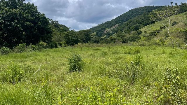 FAZENDA 145 HECTARES-25 KM DE TEÓFILO OTONI – R$ 3.000.000,00