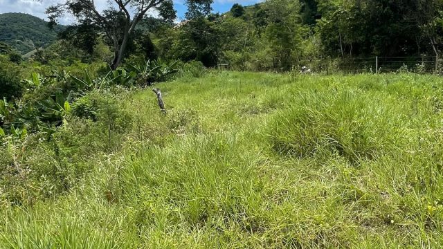 EXCELENTE FAZENDA 145 HECTARES – 25 KM DE TEÓFILO OTONI – R$ 3.000.000,00