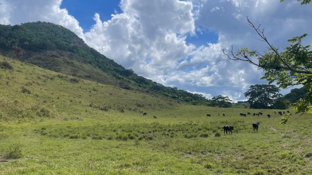 FAZENDA 145 HECTARES-25 KM DE TEÓFILO OTONI – R$ 3.000.000,00