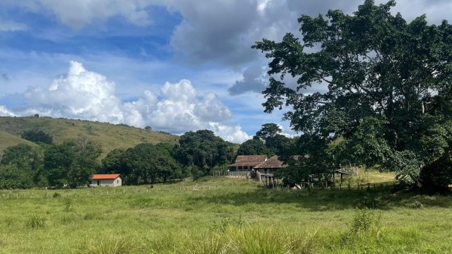 FAZENDA 145 HECTARES-25 KM DE TEÓFILO OTONI – R$ 3.000.000,00