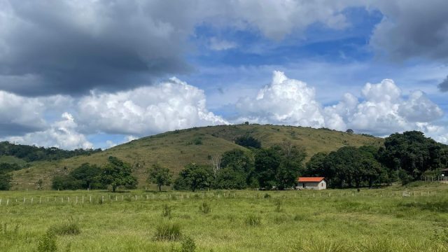 FAZENDA 145 HECTARES-25 KM DE TEÓFILO OTONI – R$ 3.000.000,00