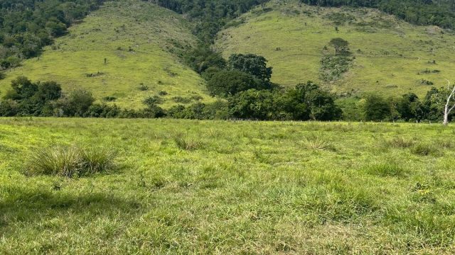 FAZENDA 145 HECTARES-25 KM DE TEÓFILO OTONI – R$ 3.000.000,00