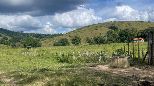 EXCELENTE FAZENDA 145 HECTARES – 25 KM DE TEÓFILO OTONI – R$ 3.000.000,00