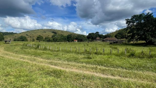 FAZENDA 145 HECTARES-25 KM DE TEÓFILO OTONI – R$ 3.000.000,00