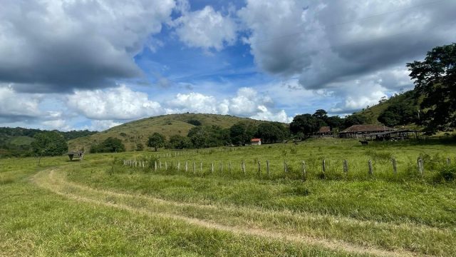 FAZENDA 145 HECTARES-25 KM DE TEÓFILO OTONI – R$ 3.000.000,00