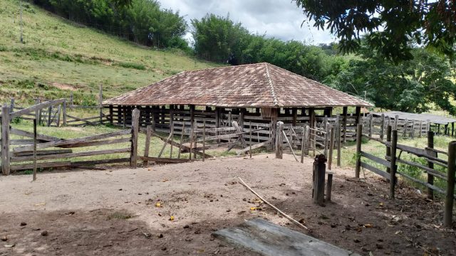 FAZENDA 145 HECTARES-25 KM DE TEÓFILO OTONI – R$ 3.000.000,00