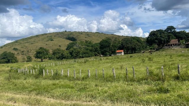 EXCELENTE FAZENDA 145 HECTARES – 25 KM DE TEÓFILO OTONI – R$ 3.000.000,00