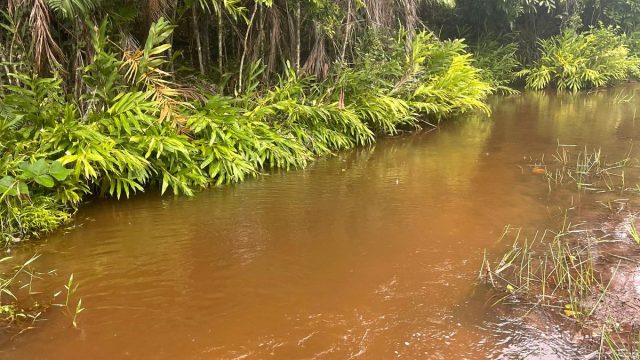 FAZENDA 145 HECTARES-25 KM DE TEÓFILO OTONI – R$ 3.000.000,00