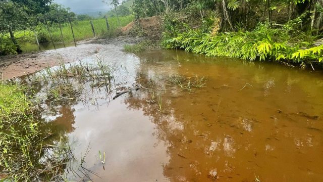 FAZENDA 145 HECTARES-25 KM DE TEÓFILO OTONI – R$ 3.000.000,00
