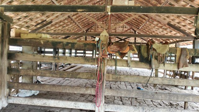 EXCELENTE FAZENDA 145 HECTARES – 25 KM DE TEÓFILO OTONI – R$ 3.000.000,00