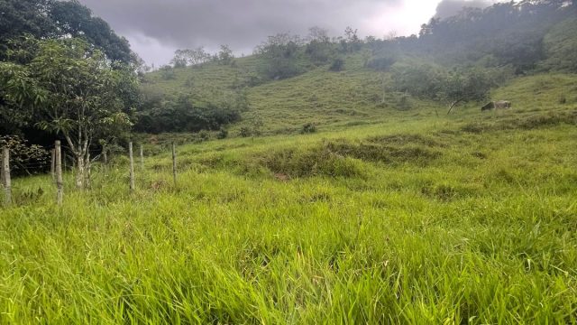 FAZENDA 145 HECTARES-25 KM DE TEÓFILO OTONI – R$ 3.000.000,00