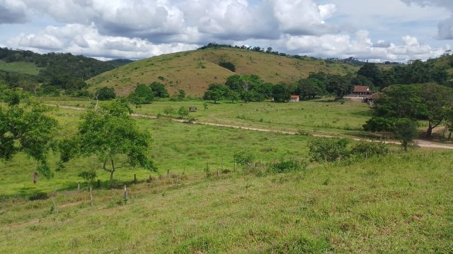 EXCELENTE FAZENDA 145 HECTARES – 25 KM DE TEÓFILO OTONI – R$ 3.000.000,00