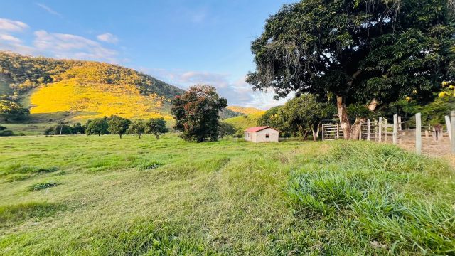 FAZENDA 145 HECTARES-25 KM DE TEÓFILO OTONI – R$ 3.000.000,00
