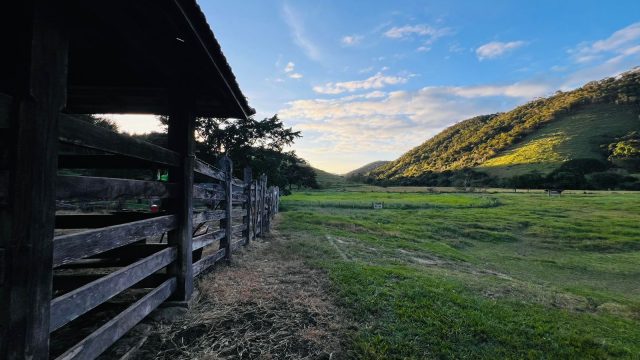 FAZENDA 145 HECTARES-25 KM DE TEÓFILO OTONI – R$ 3.000.000,00