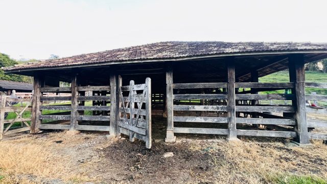 FAZENDA 145 HECTARES-25 KM DE TEÓFILO OTONI – R$ 3.000.000,00