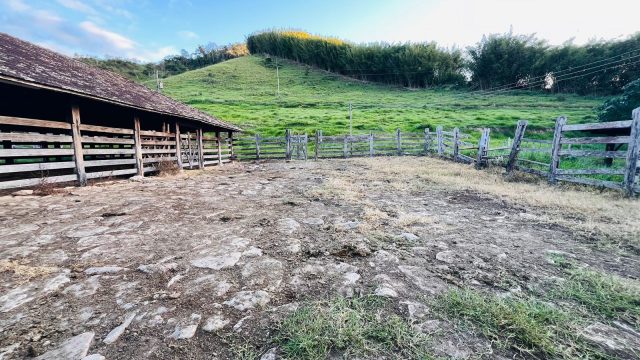 FAZENDA 145 HECTARES-25 KM DE TEÓFILO OTONI – R$ 3.000.000,00