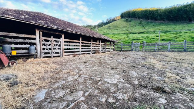 EXCELENTE FAZENDA 145 HECTARES – 25 KM DE TEÓFILO OTONI – R$ 3.000.000,00