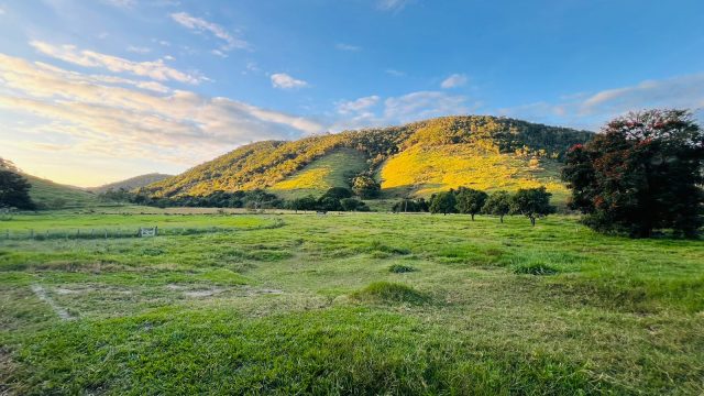 EXCELENTE FAZENDA 145 HECTARES – 25 KM DE TEÓFILO OTONI – R$ 3.000.000,00