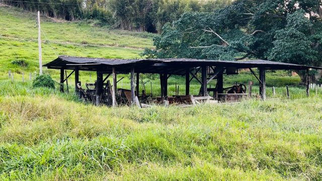 FAZENDA 145 HECTARES-25 KM DE TEÓFILO OTONI – R$ 3.000.000,00