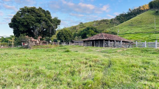 FAZENDA 145 HECTARES-25 KM DE TEÓFILO OTONI – R$ 3.000.000,00